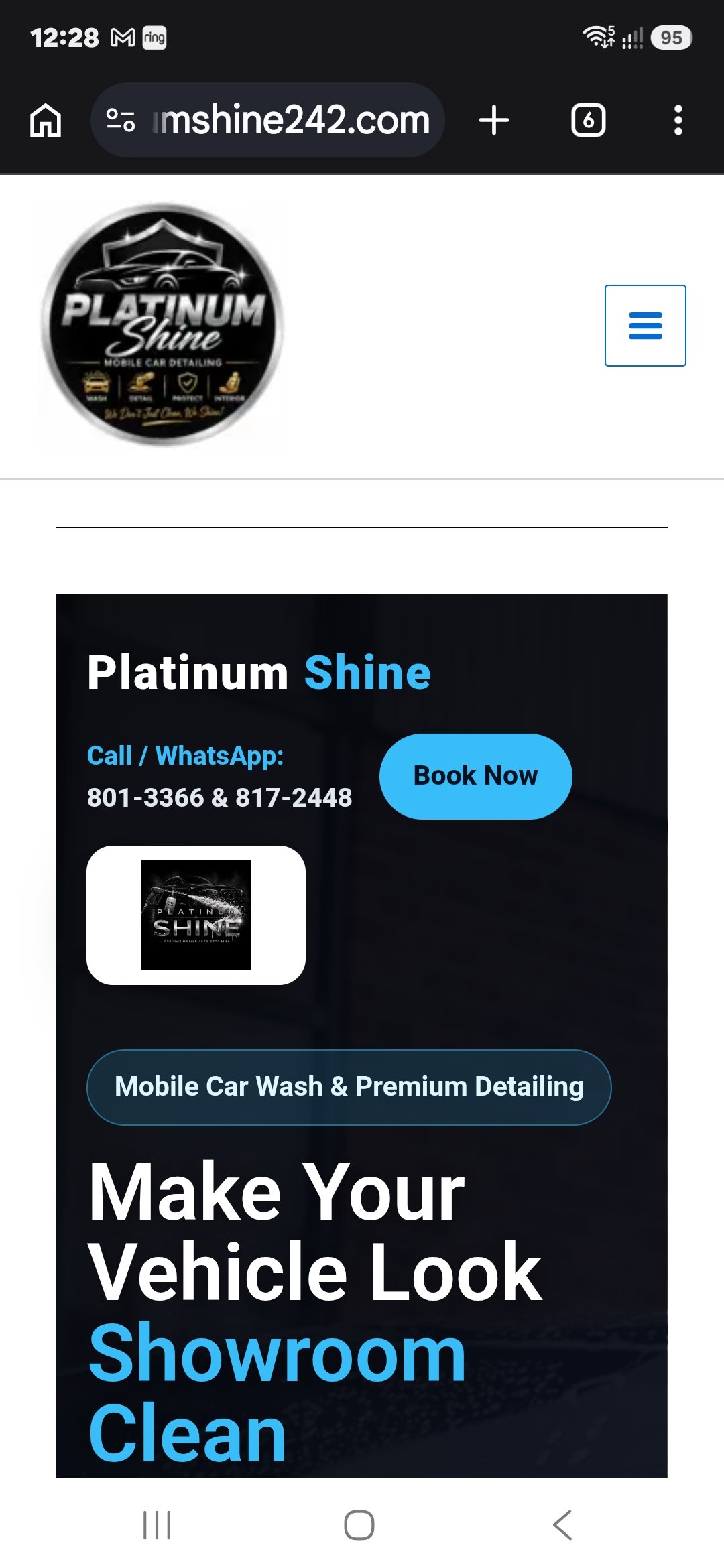 Platinum Shine car detailing website project