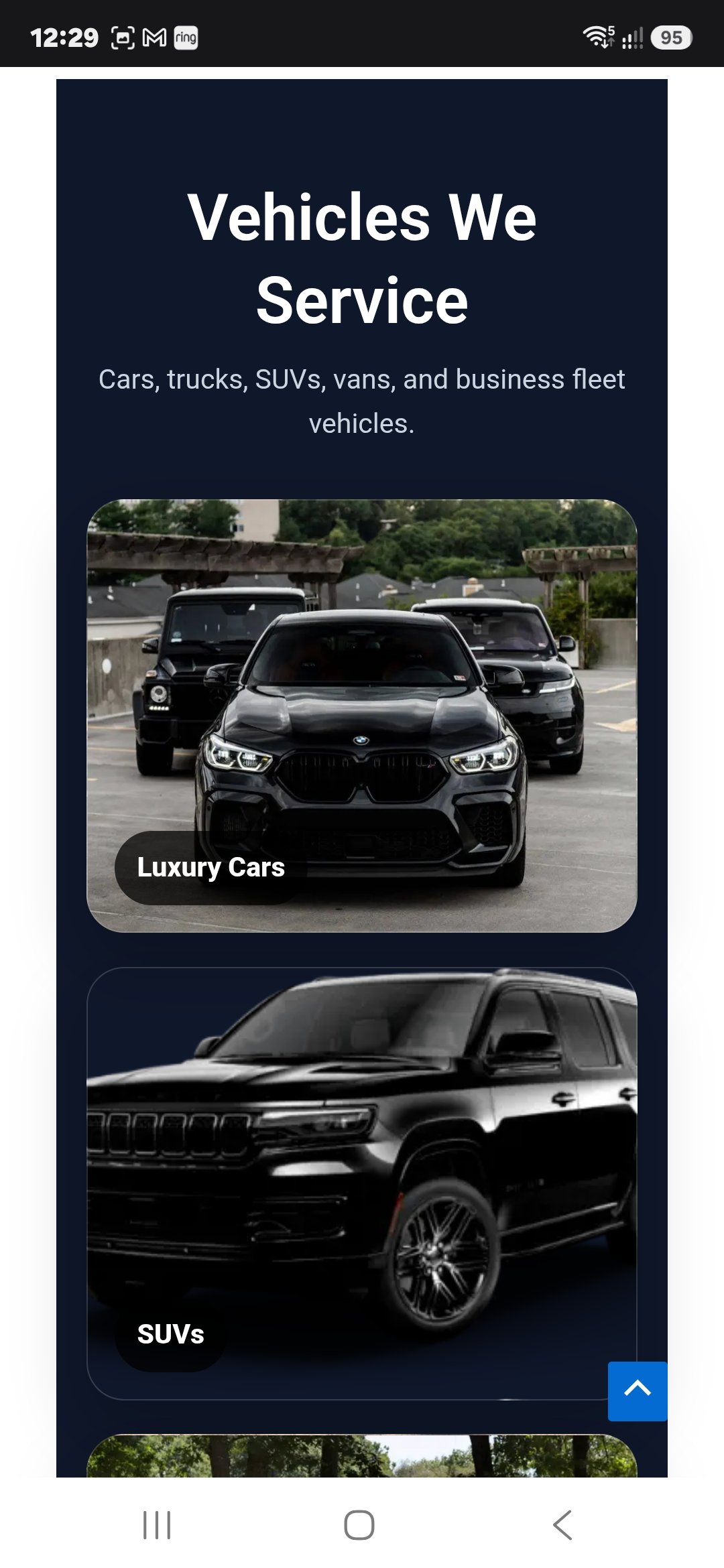 Platinum Shine website screenshot 7