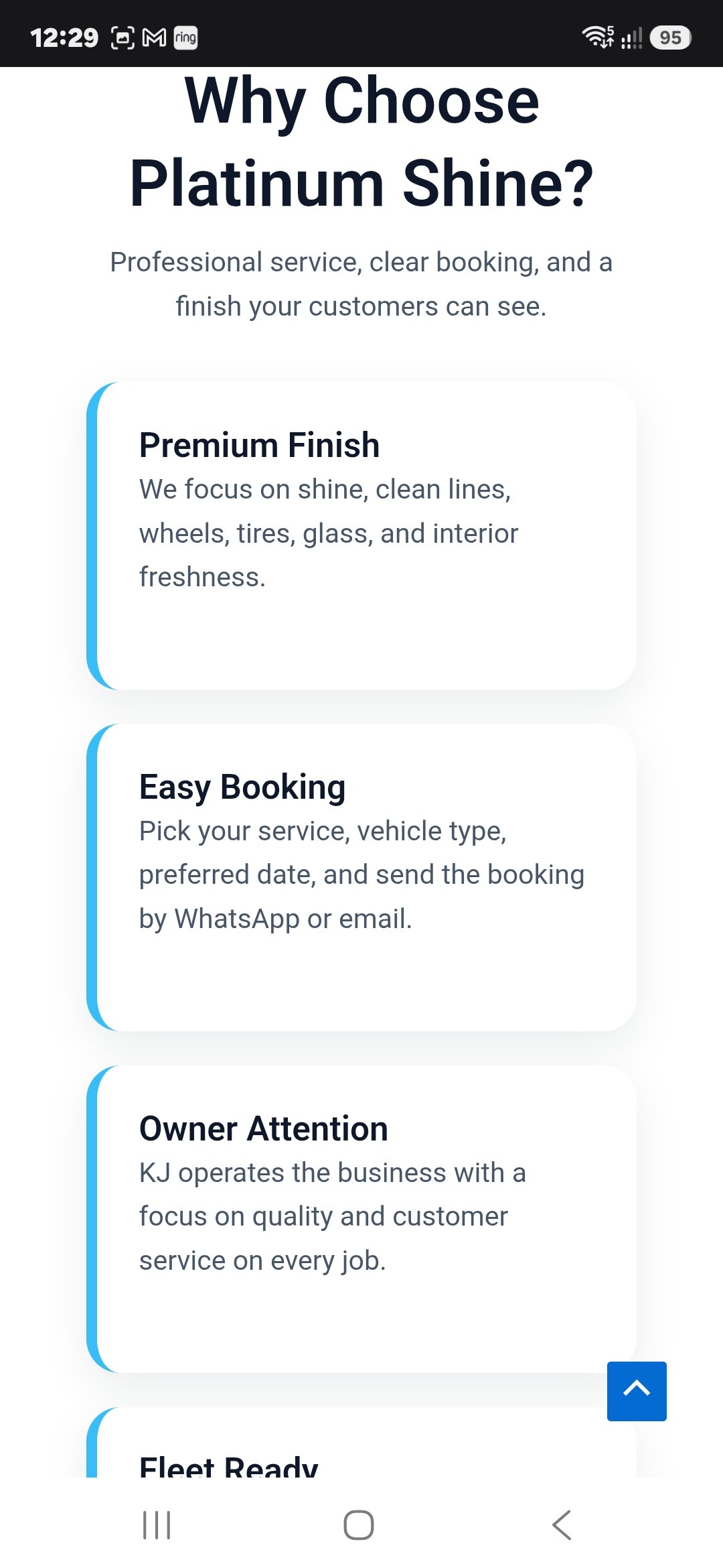 Platinum Shine website screenshot 6