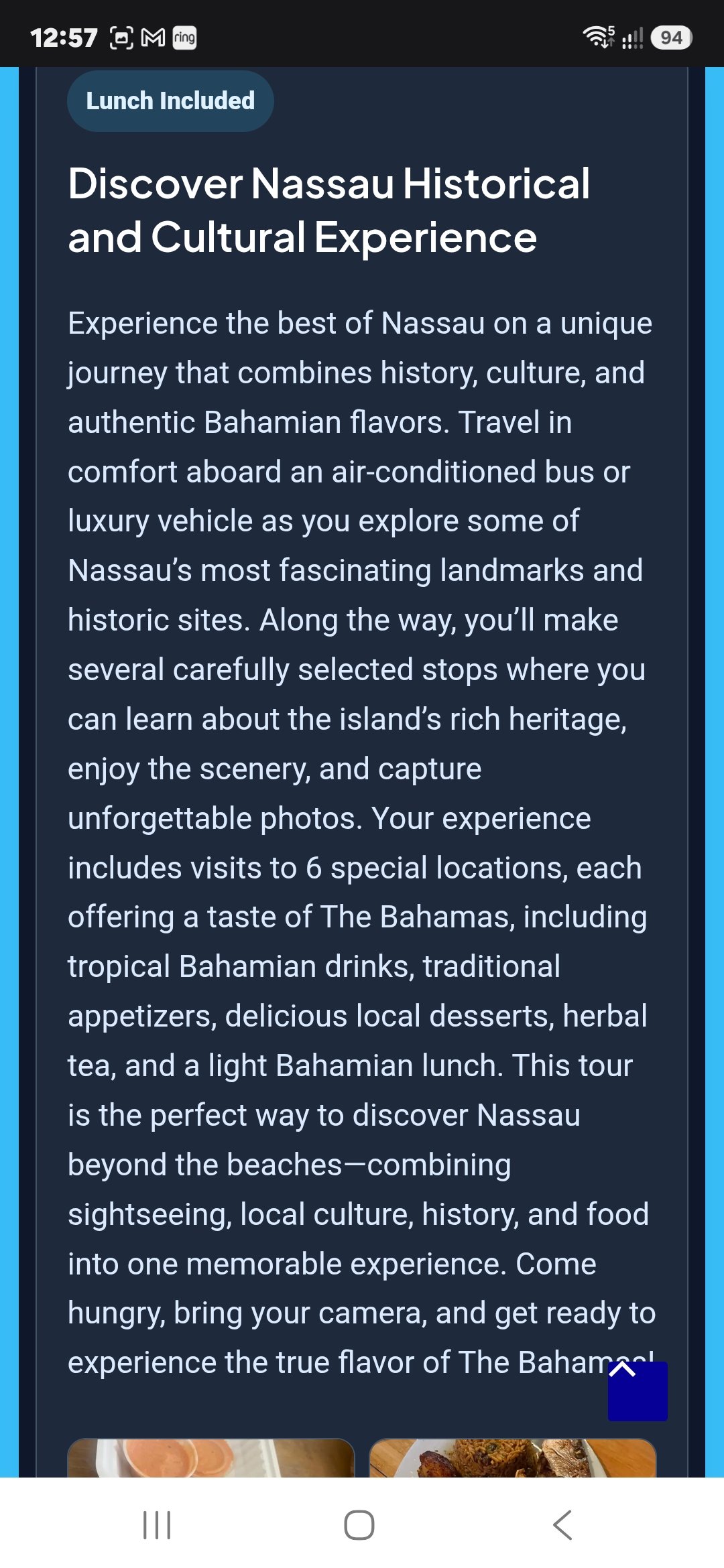 Bahamas Bilingual Tours website screenshot 9