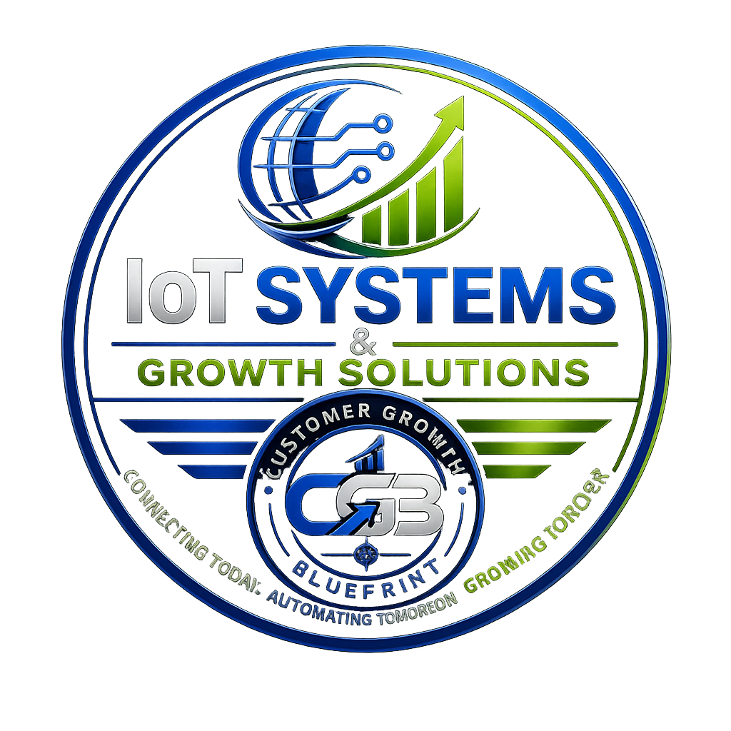 Business growth and digital systems project